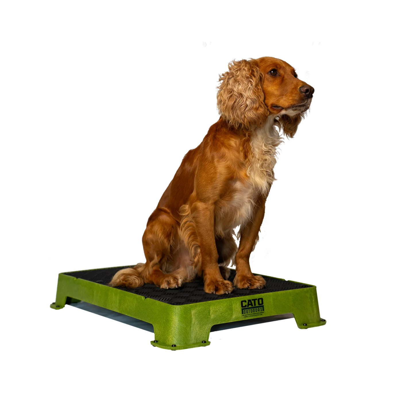 Cato Board Dog Training Platform