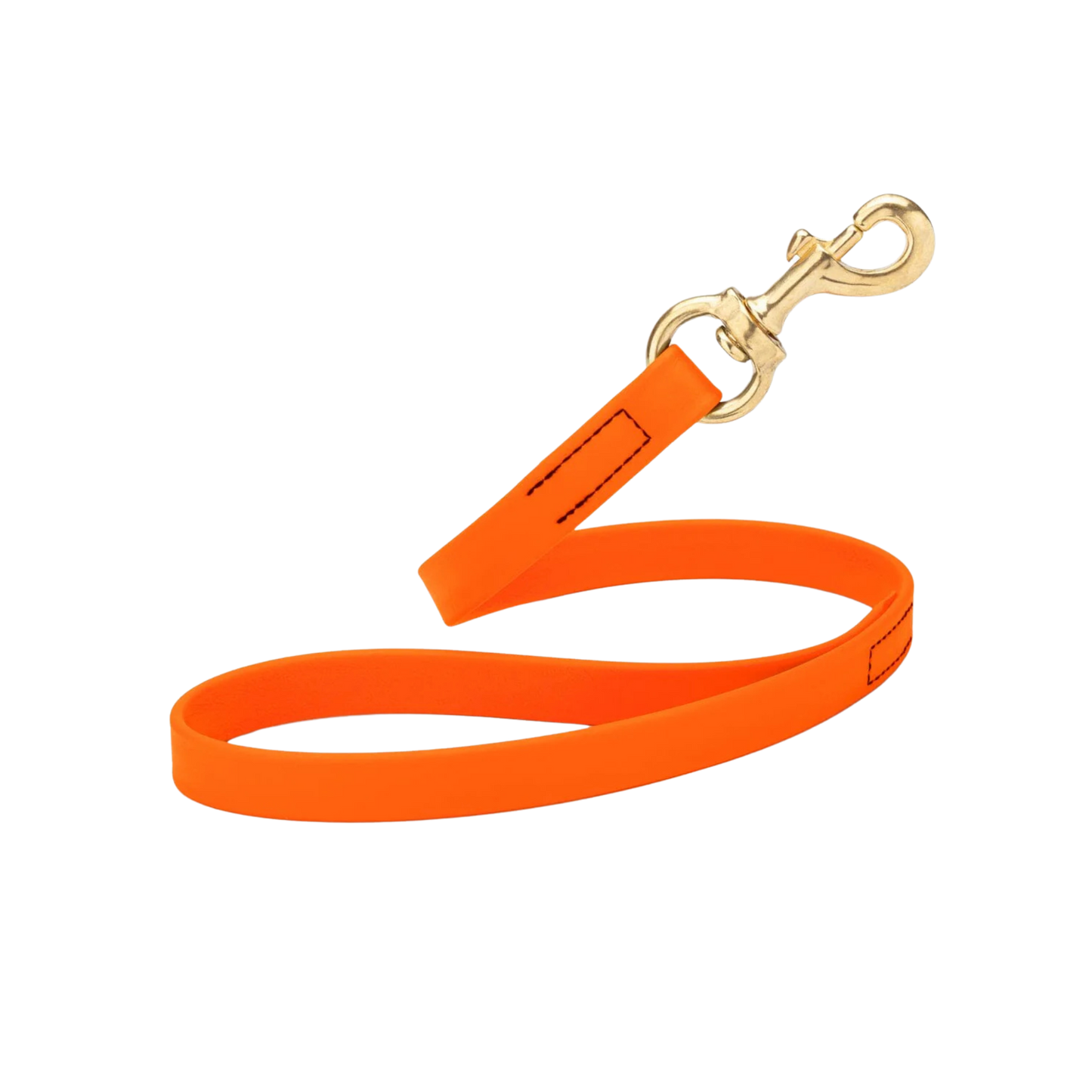 Dogline 20" Biothane Traffic Lead with Brass Hardware