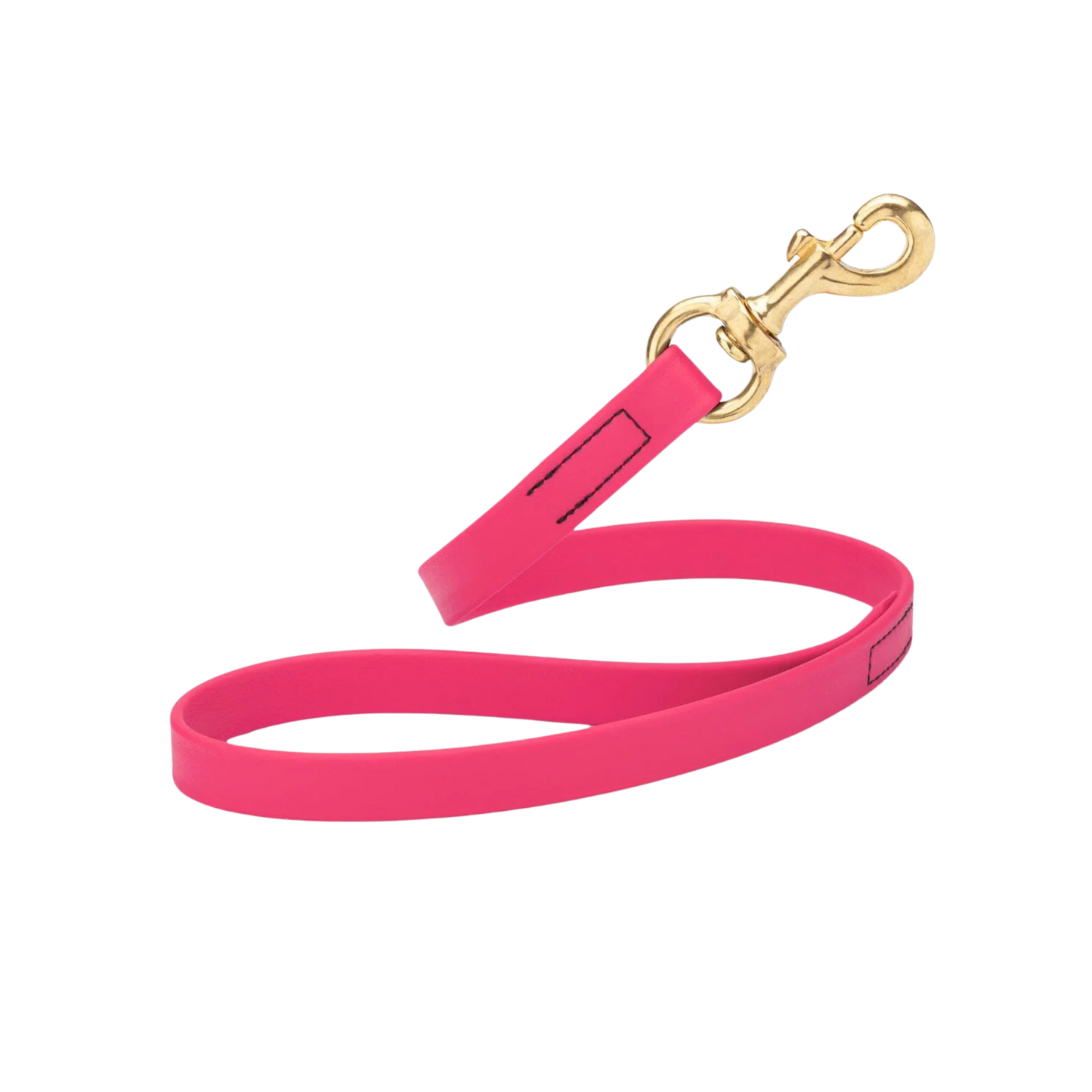 Dogline 20" Biothane Traffic Lead with Brass Hardware