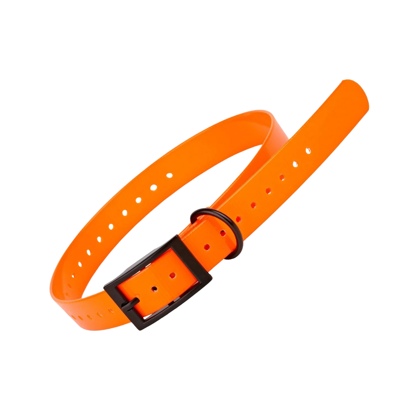 Dogline Biothane Waterproof E-Collar Replacement Strap