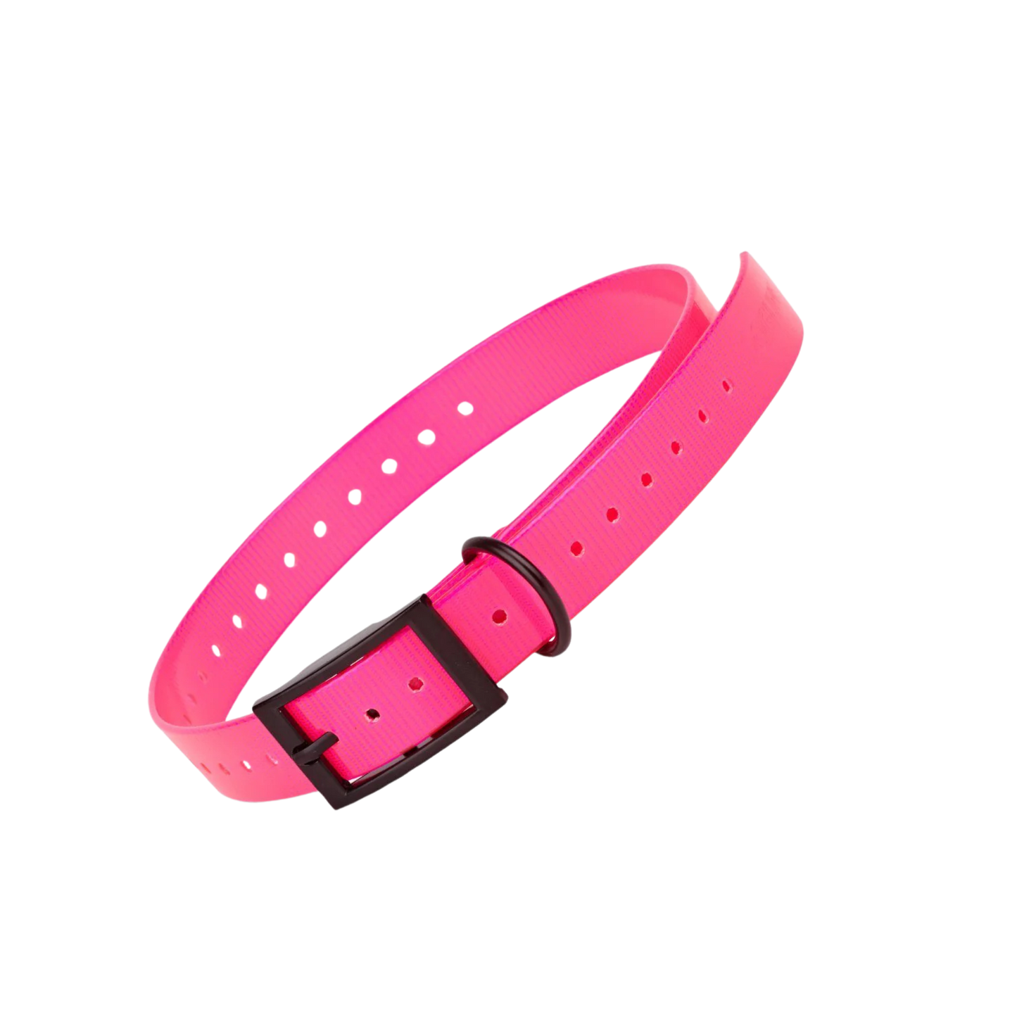 Dogline Biothane Waterproof E-Collar Replacement Strap