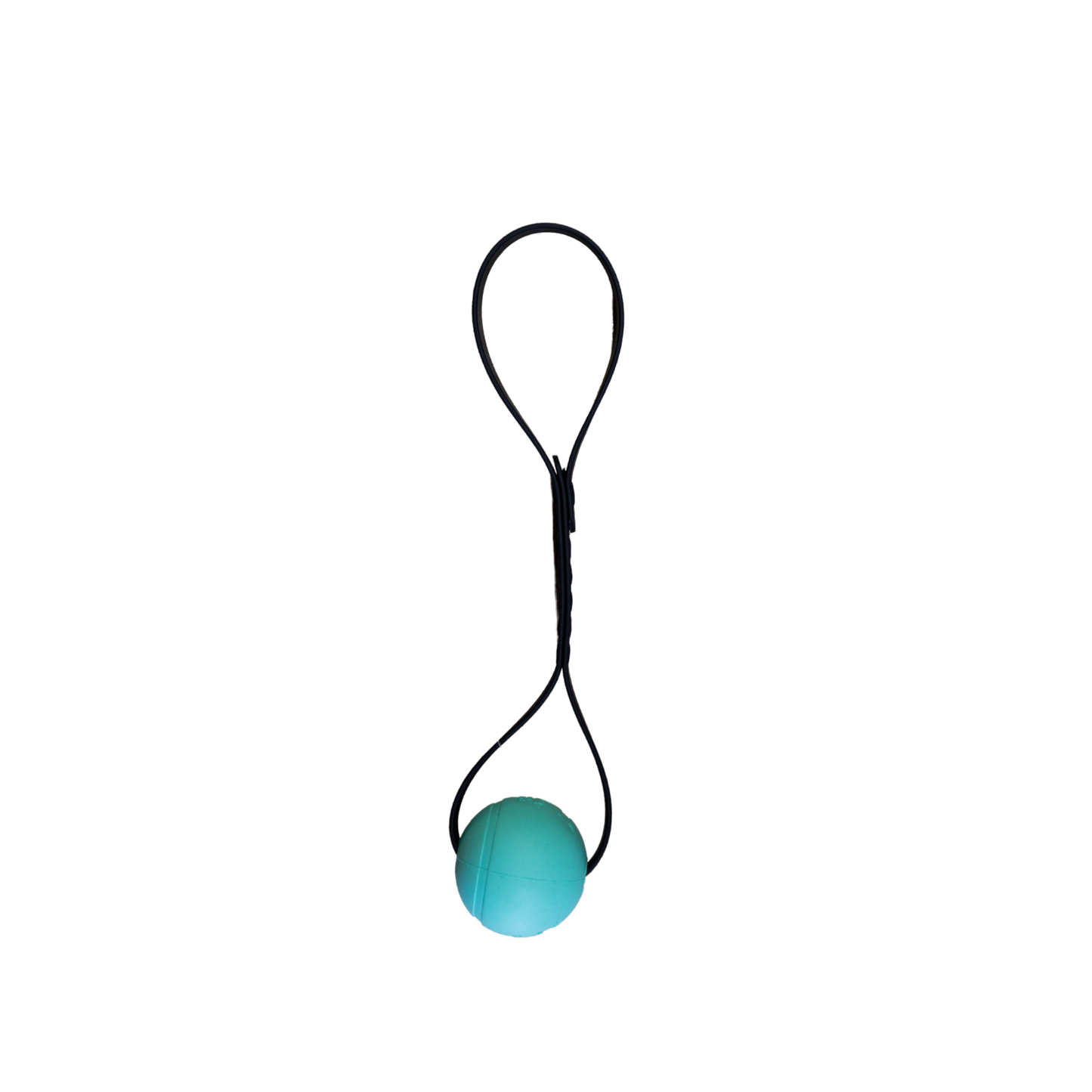 Goodwalk Tug Toy for Dogs
