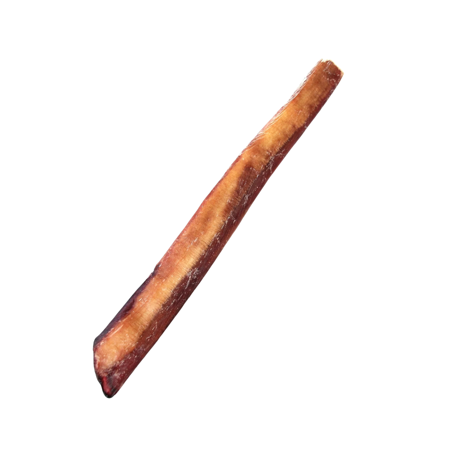 Super Can 12" Jumbo Bully Stick