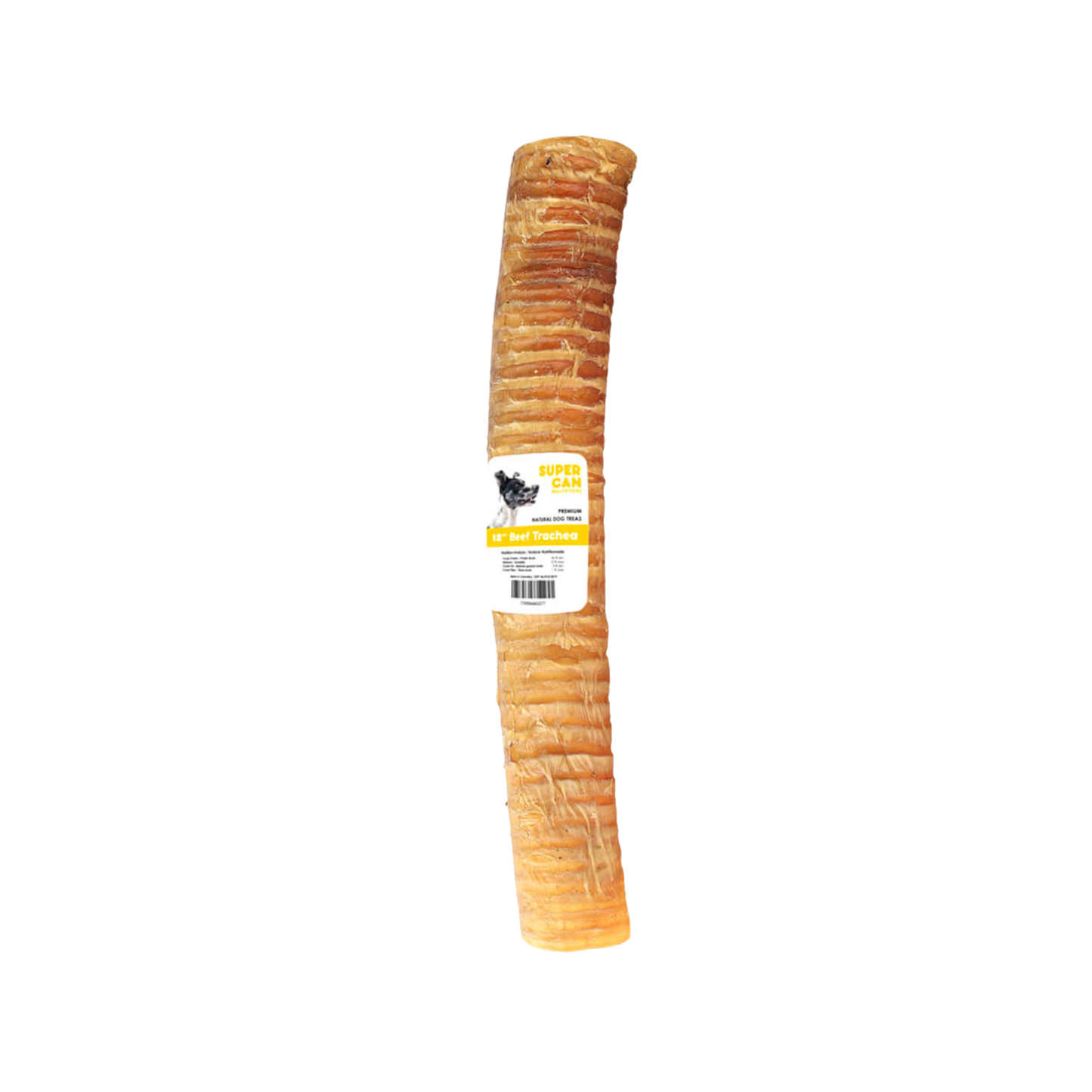 Super Can Trachea