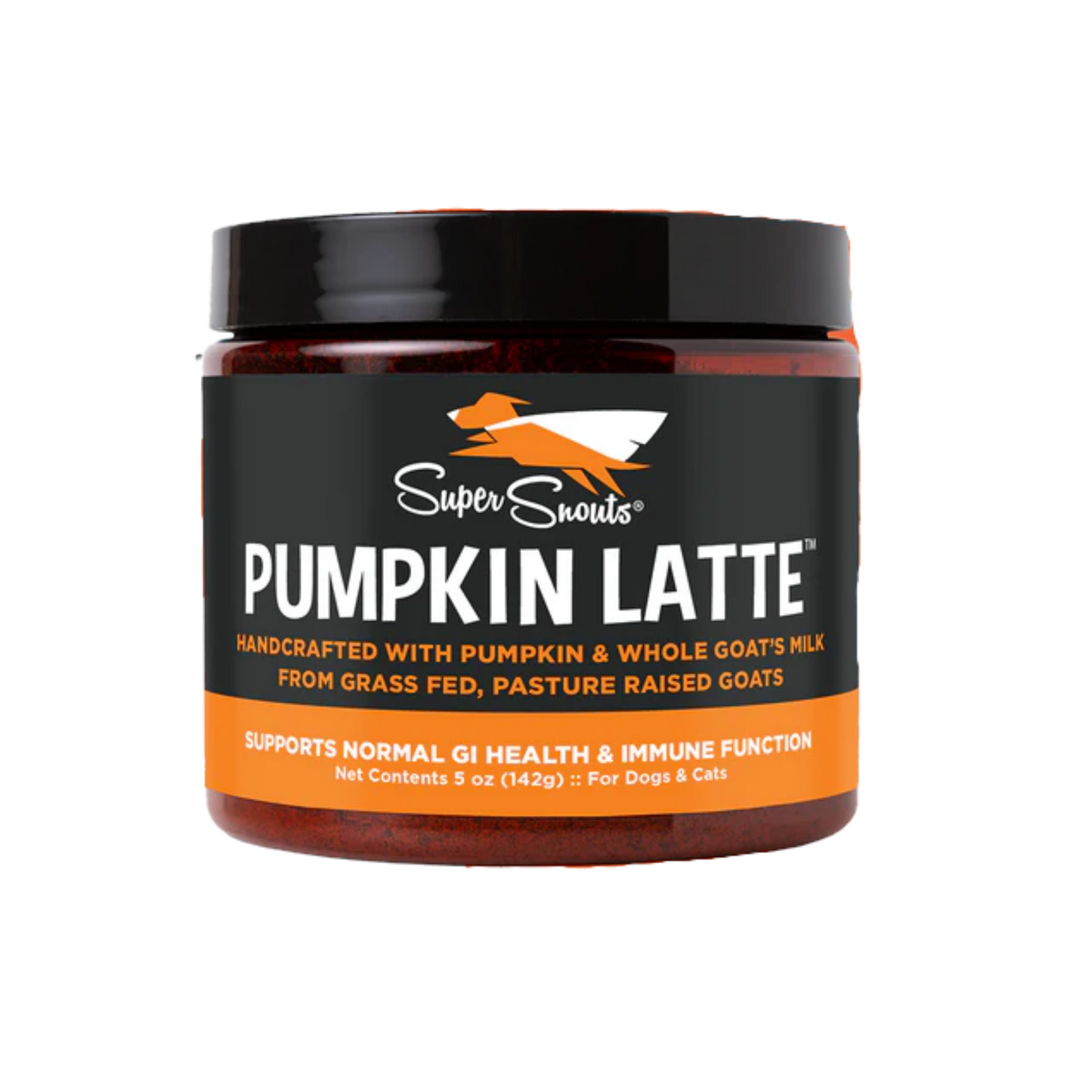 Super Snouts Pumpkin Latte