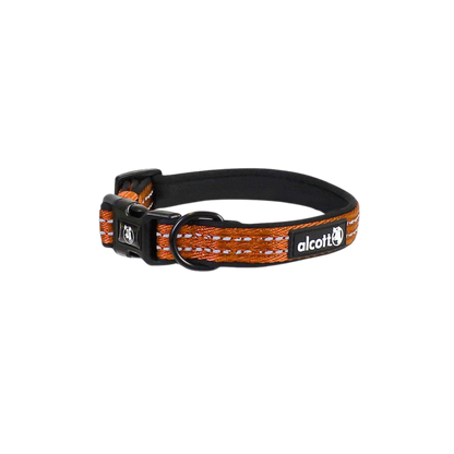 Alcott Adventure Collars