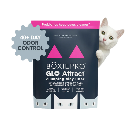 BoxiePro Glo Attract Clumping Clay Cat Litter, 16lb