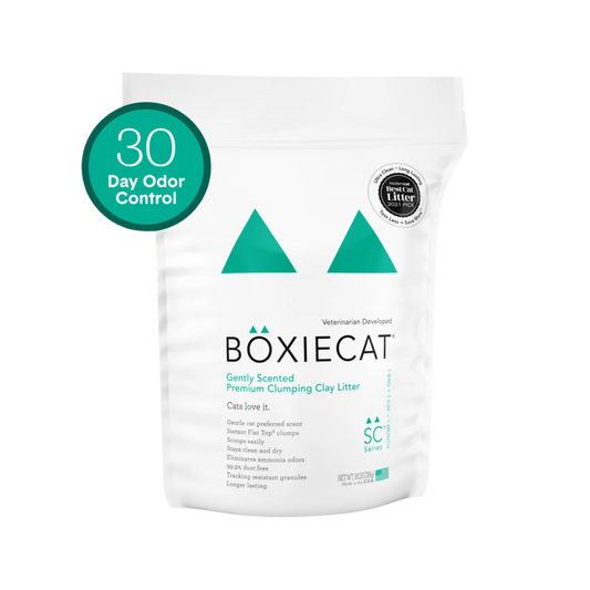 Boxiecat Gently Scented Natural Clumping Clay Cat Litter, 16lb
