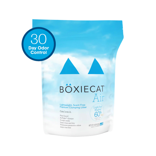 Boxiecat Unscented Lightweight Plant-Based Litter, 6.5lb