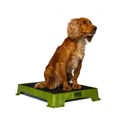 Cato Board Dog Training Platform