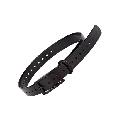 Dogline Biothane Waterproof E-Collar Replacement Strap