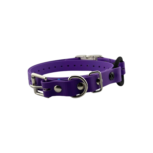 E-Collar Technologies 3/4″ Quick-Snap Bungee Collar Strap