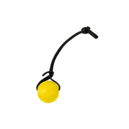 Foam Dog Balls Foamster Super Grip