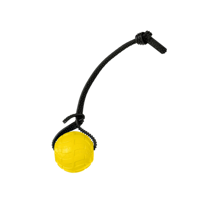 Foam Dog Balls Foamster Super Grip
