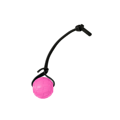 Foam Dog Balls Foamster Super Grip