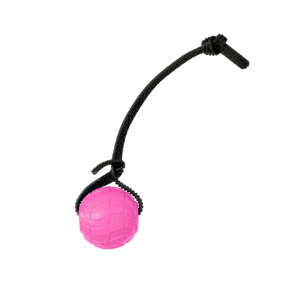 Foam Dog Balls Foamster Super Grip