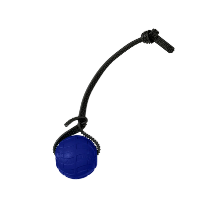 Foam Dog Balls Foamster Super Grip