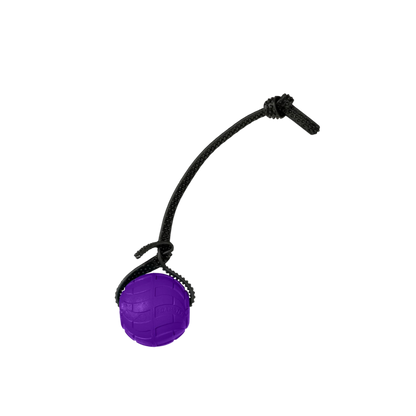 Foam Dog Balls Foamster Super Grip