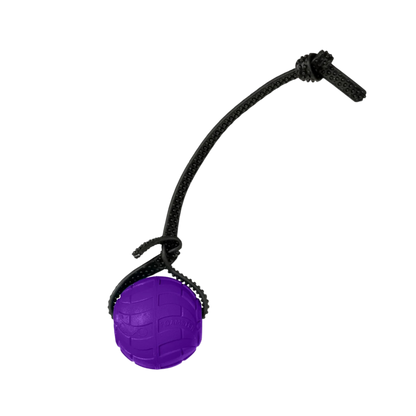 Foam Dog Balls Foamster Super Grip