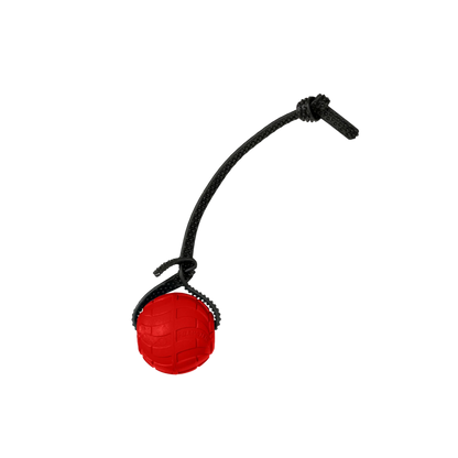 Foam Dog Balls Foamster Super Grip