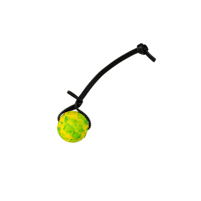 Foam Dog Balls Foamster Super Grip