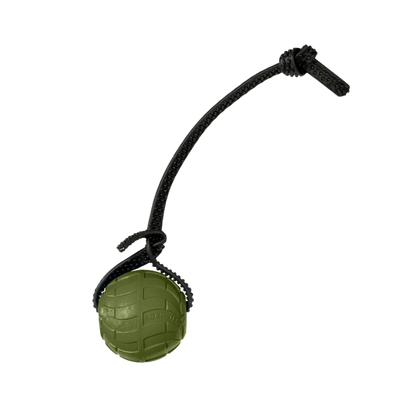 Foam Dog Balls Foamster Super Grip