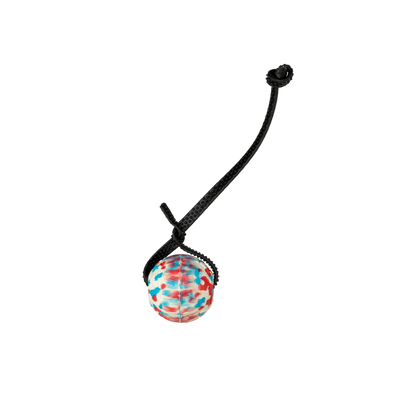 Foam Dog Balls Foamster Super Grip