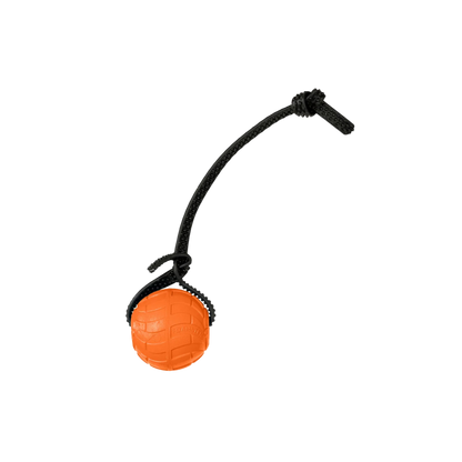 Foam Dog Balls Foamster Super Grip