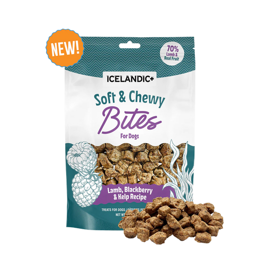 Icelandic+ Lamb, Blackberry & Kelp Recipe Soft & Chewy Bites for Dogs