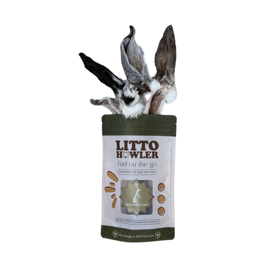 Litto Howler Wild Rabbit Ears