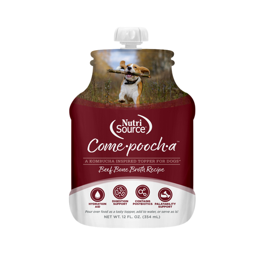 NutriSource Come-Pooch-A Beef Bone Broth Recipe
