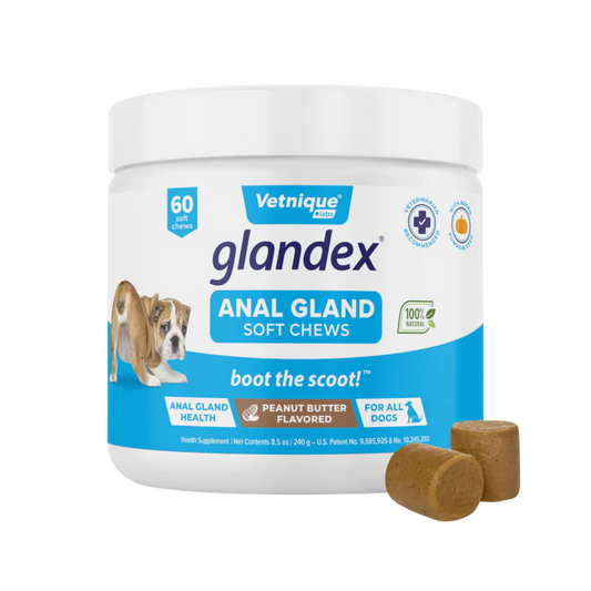 Vetnique Glandex Dog Anal Gland Supplement Peanut Butter With Pumpkin