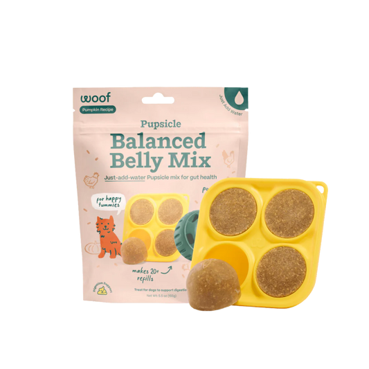Woof Balanced Belly Pupsicle Mix